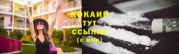 шишки Протвино