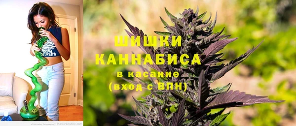 шишки Протвино